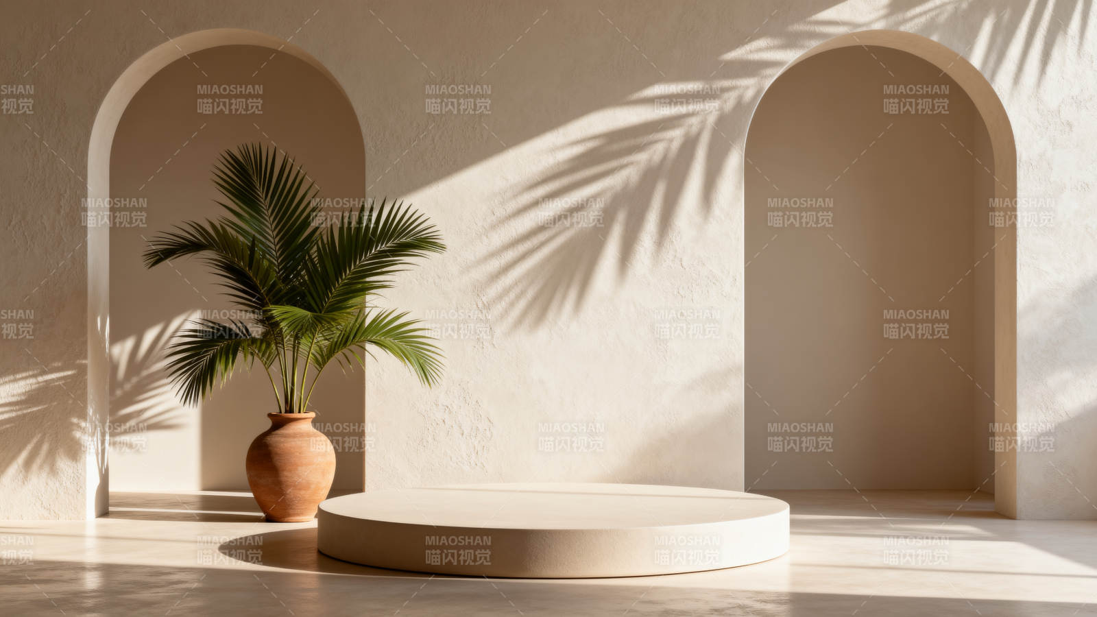 光影中的绿植静谧图片