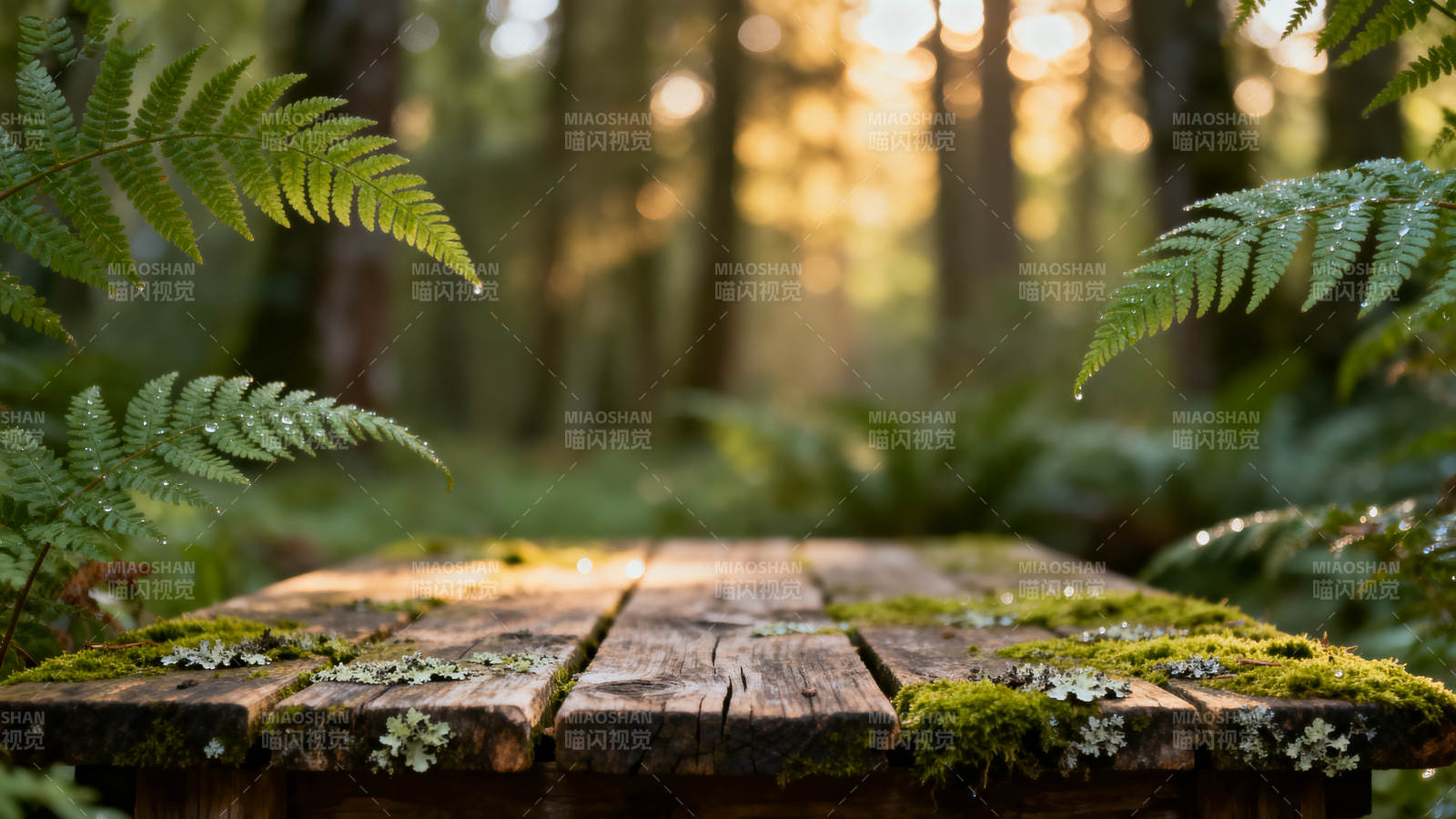 森林木桌静谧景图片