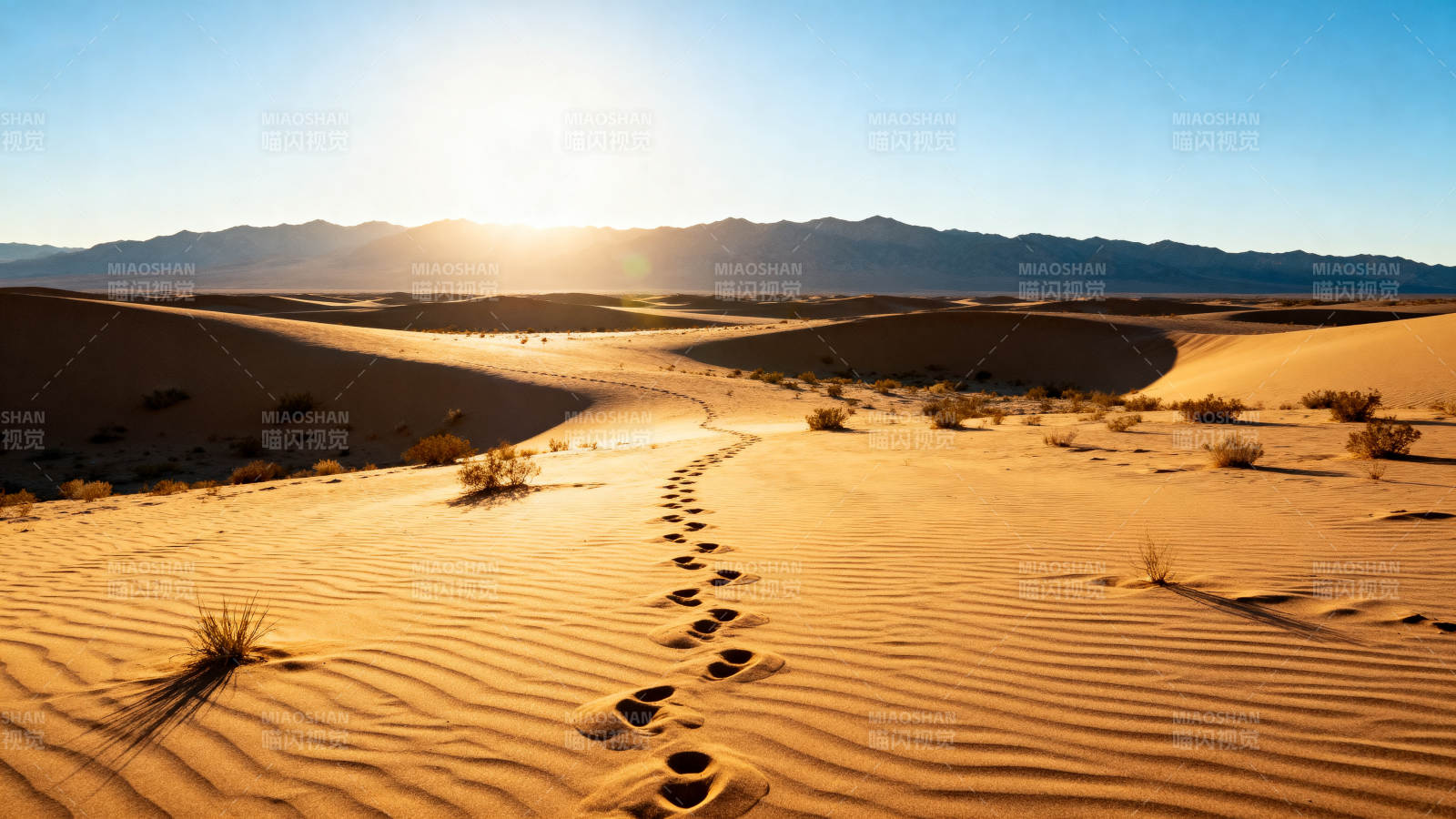 沙漠足迹夕阳图片