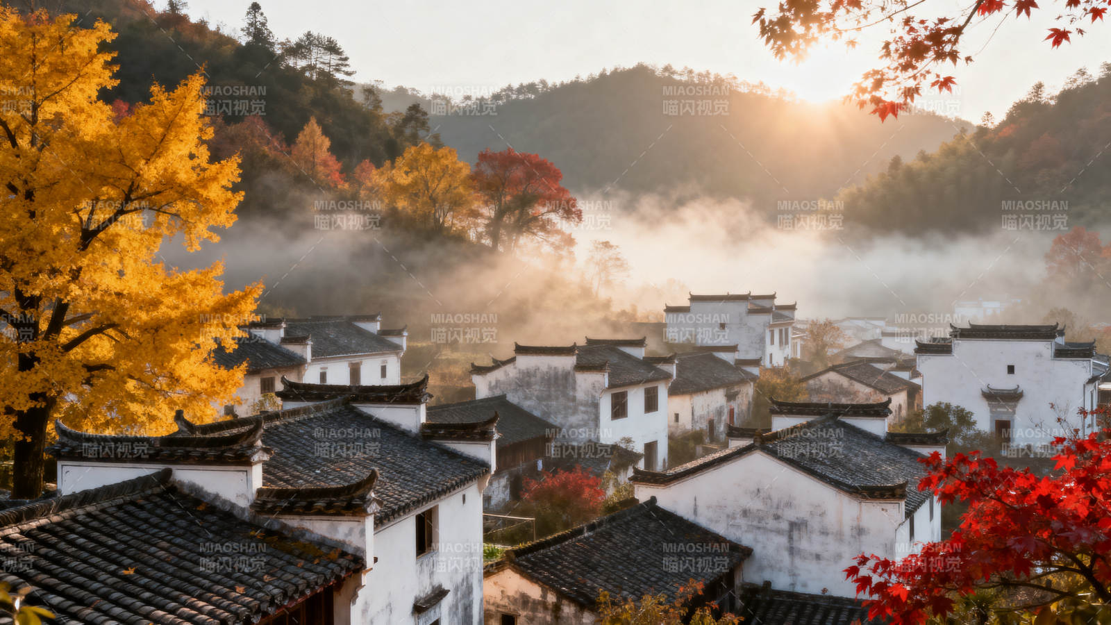 秋晨古村雾霭中图片