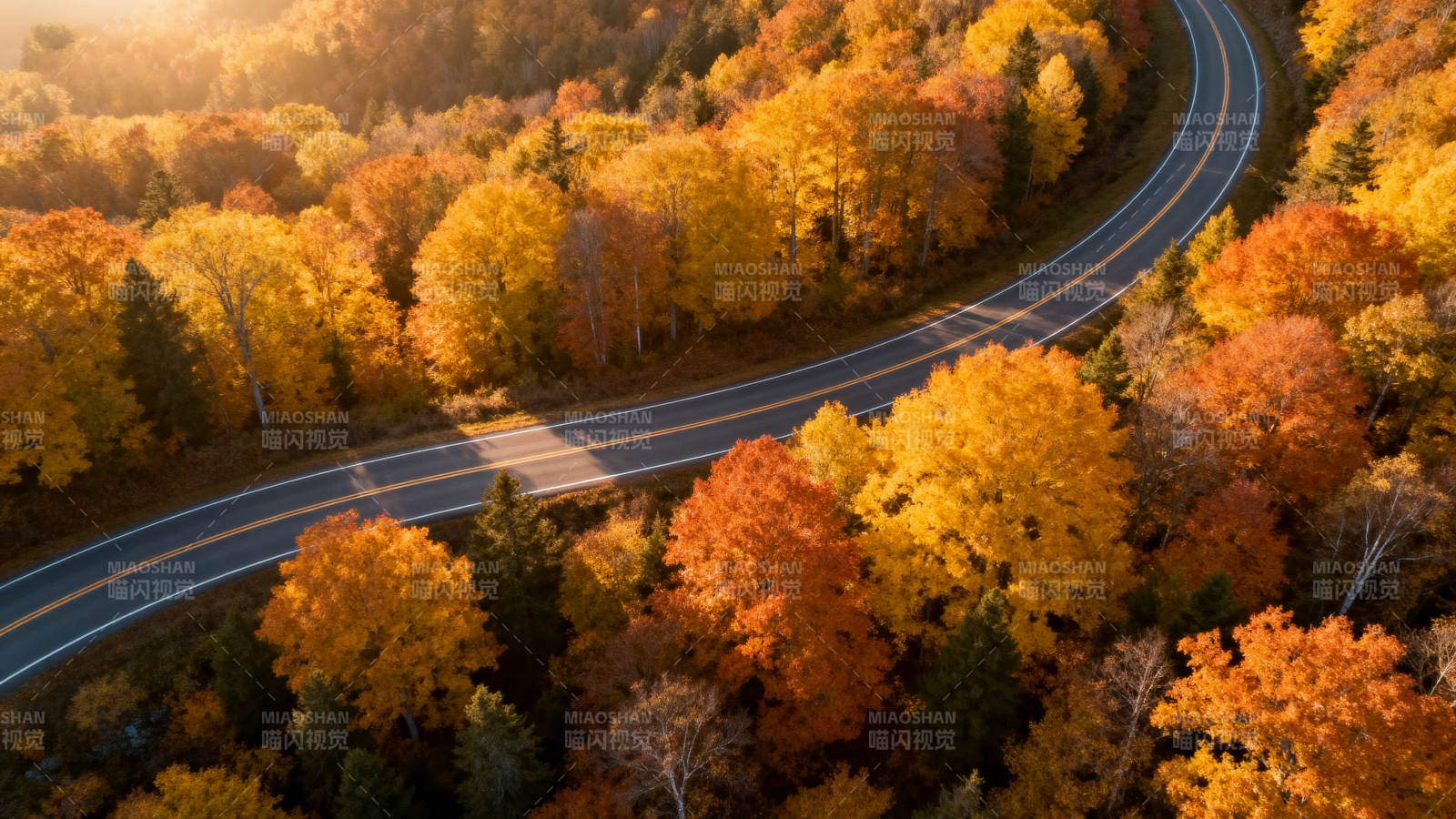 秋林公路美景图片