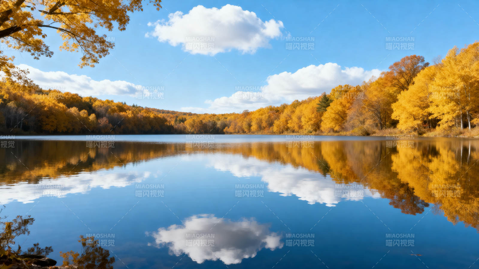 秋湖映彩林图片