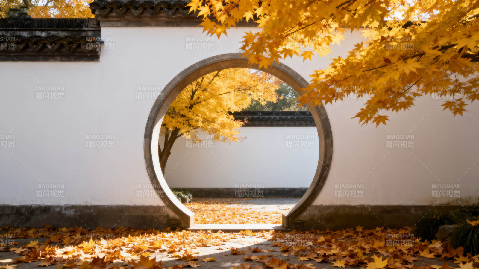 秋叶映月门图片