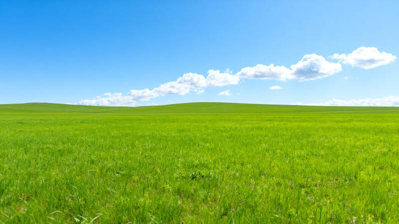 绿野蓝天图片