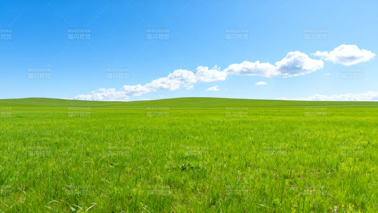 绿野蓝天图片