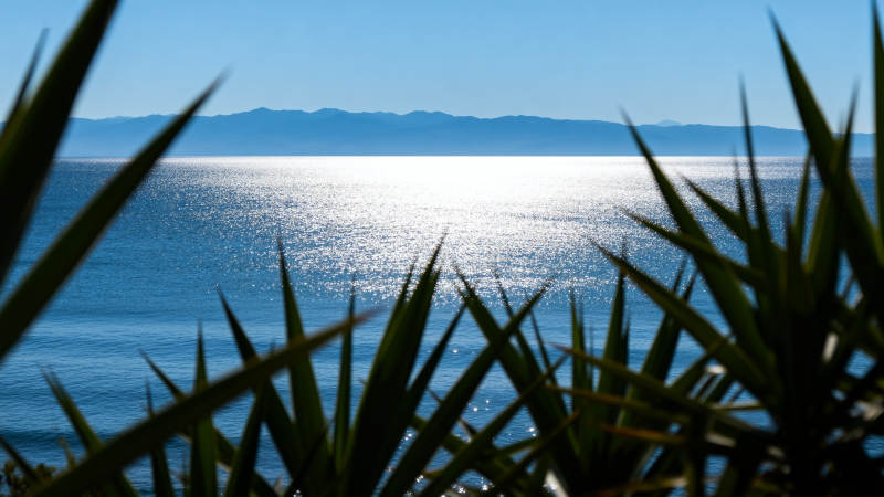 海景与绿植图片