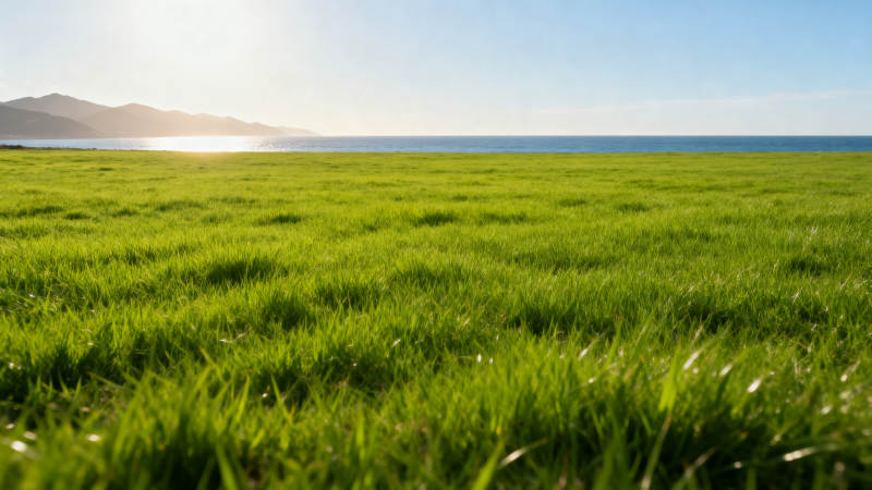 绿野海天一色图片