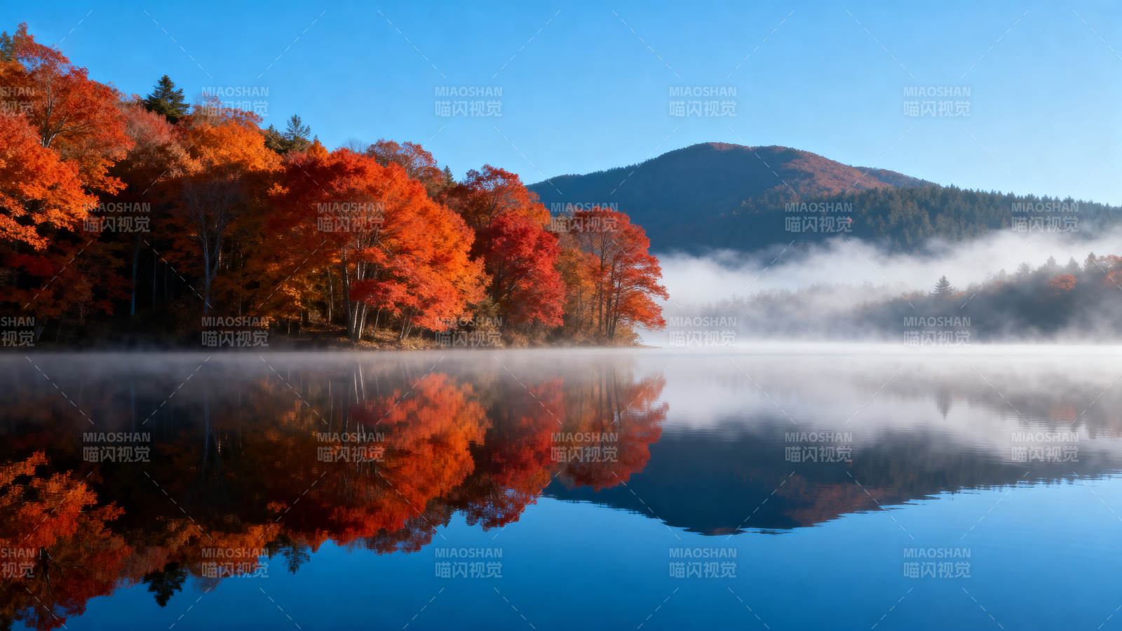 秋湖晨雾映彩林图片