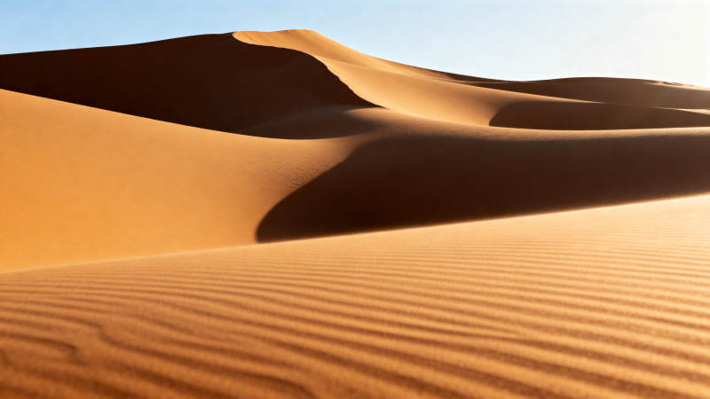 金色沙丘 光影交错图片