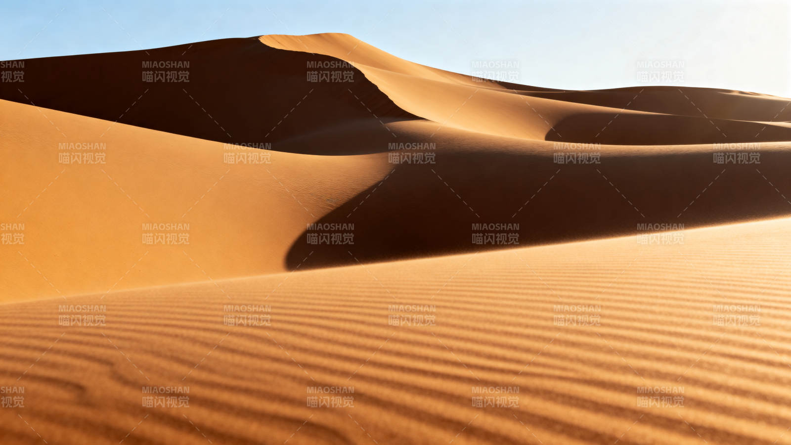 金色沙丘 光影交错图片