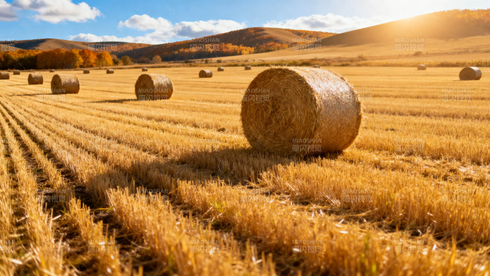 金秋麦田草垛图片