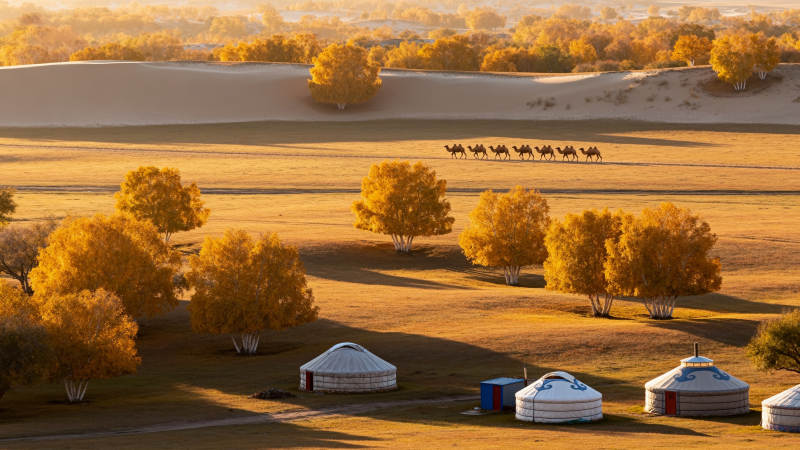 秋日草原蒙古包图片