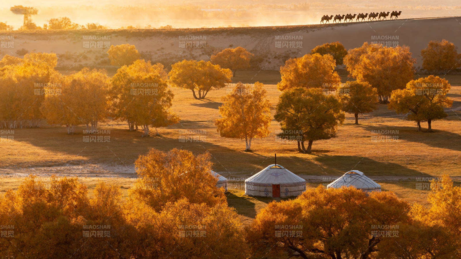 秋日草原毡房图片