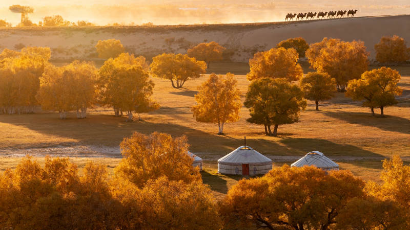 秋日草原毡房图片