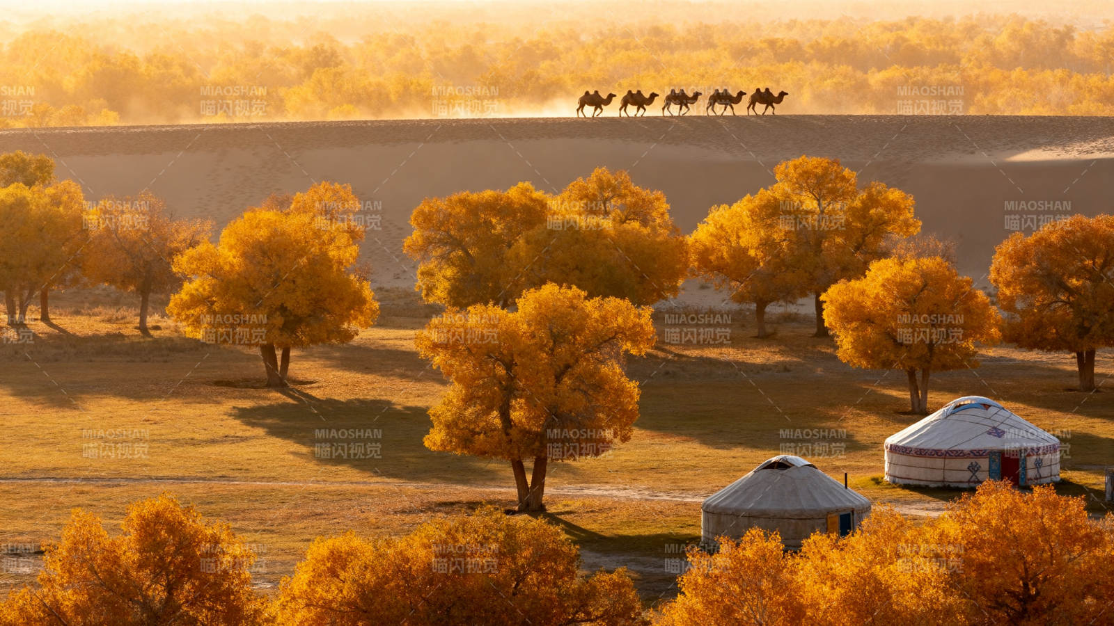 秋日草原风光图片