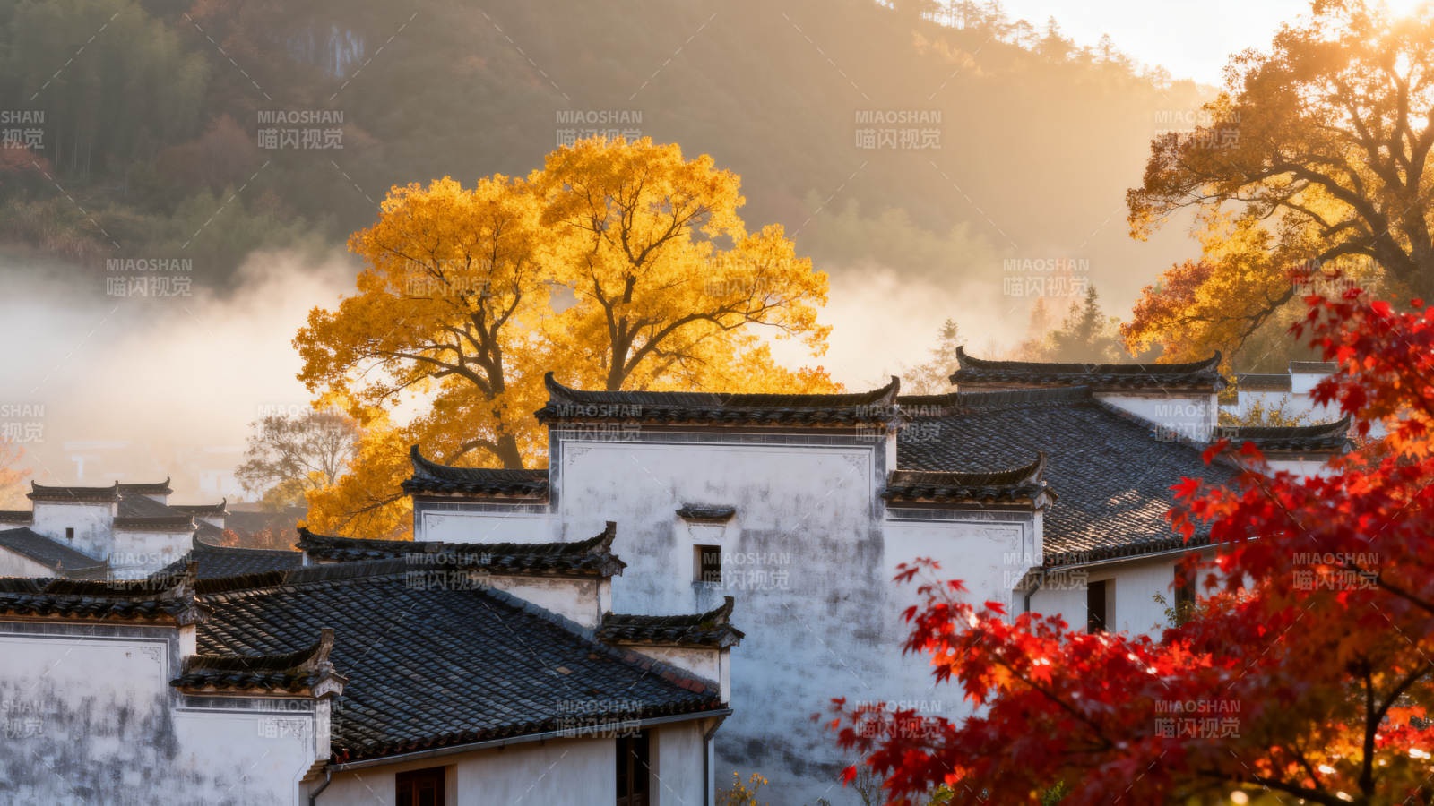 秋色古村晨雾图片