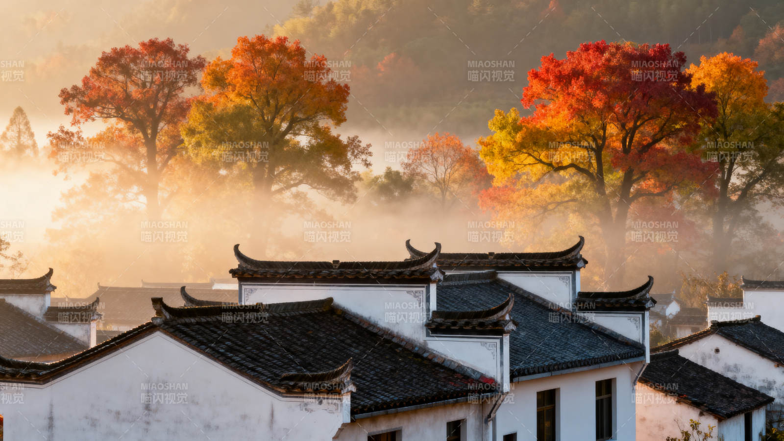 秋雾古村晨景图片