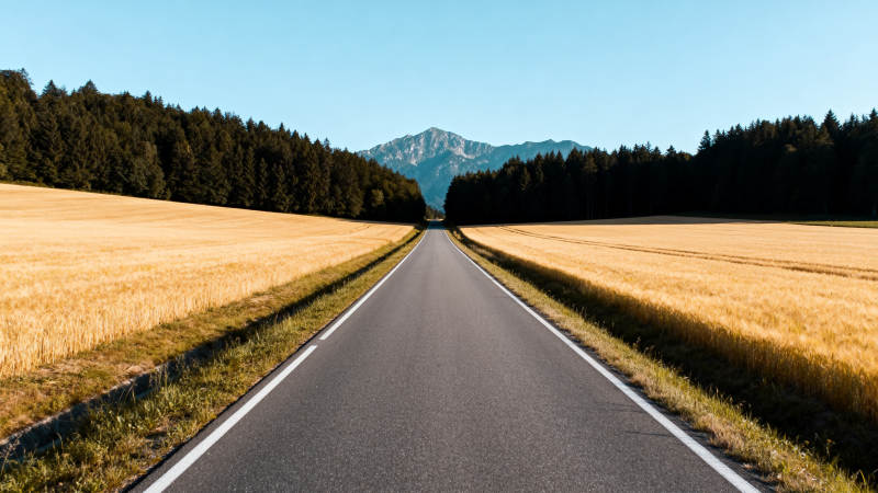 公路延伸至山林图片