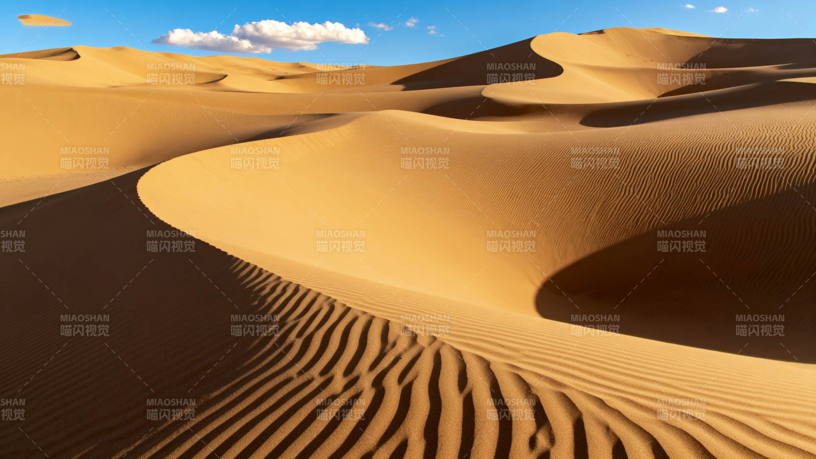 金色沙丘 蓝天白云图片