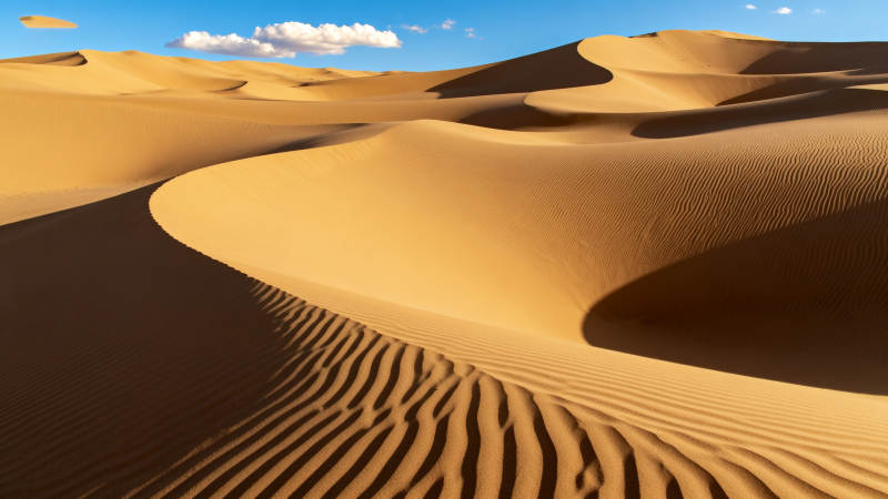 金色沙丘 蓝天白云图片