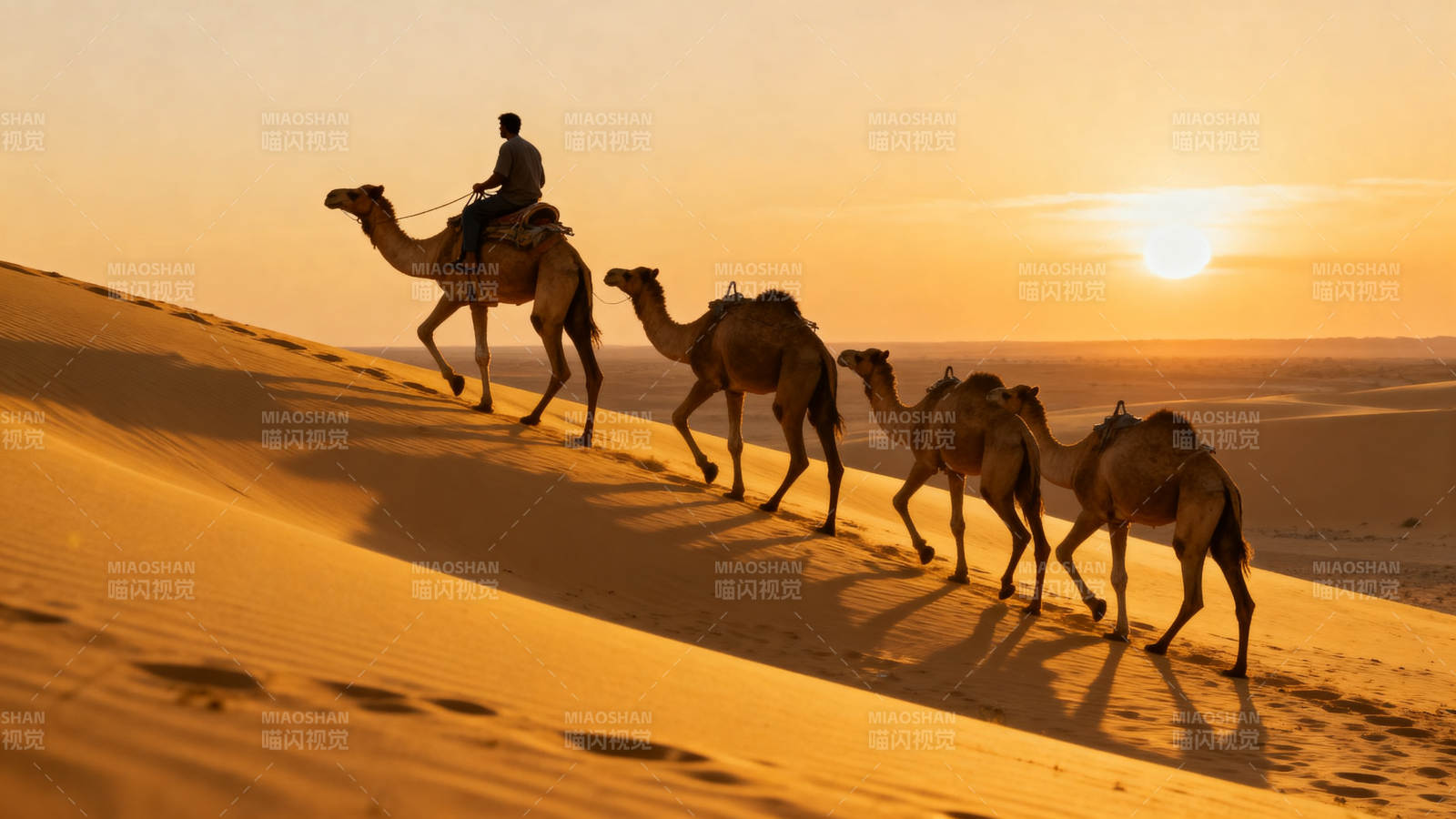 沙漠驼队日落行图片
