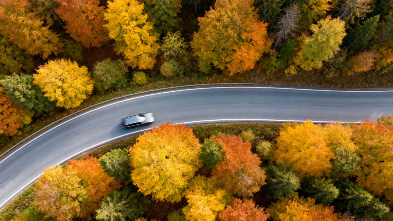 秋林公路行车图图片