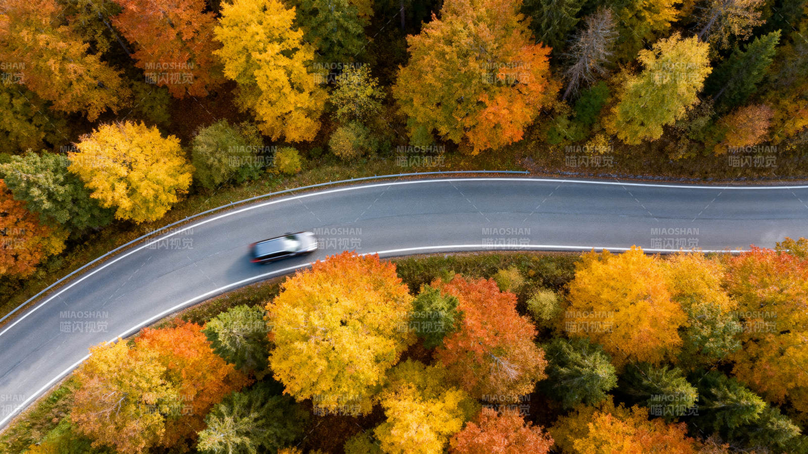 秋林公路行车图图片