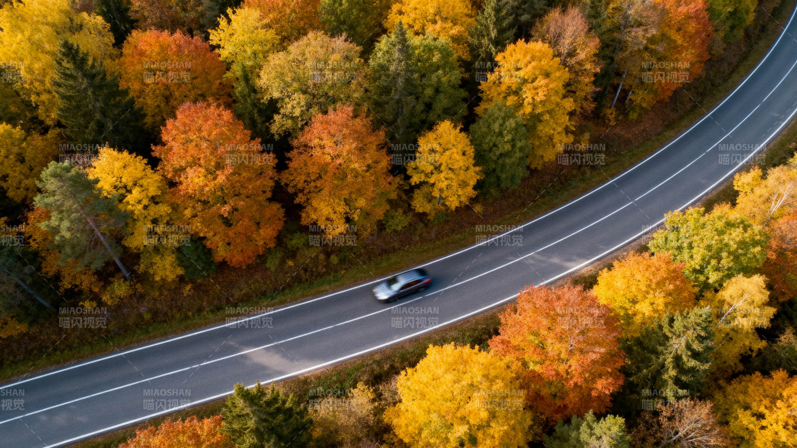 秋林公路行车图图片