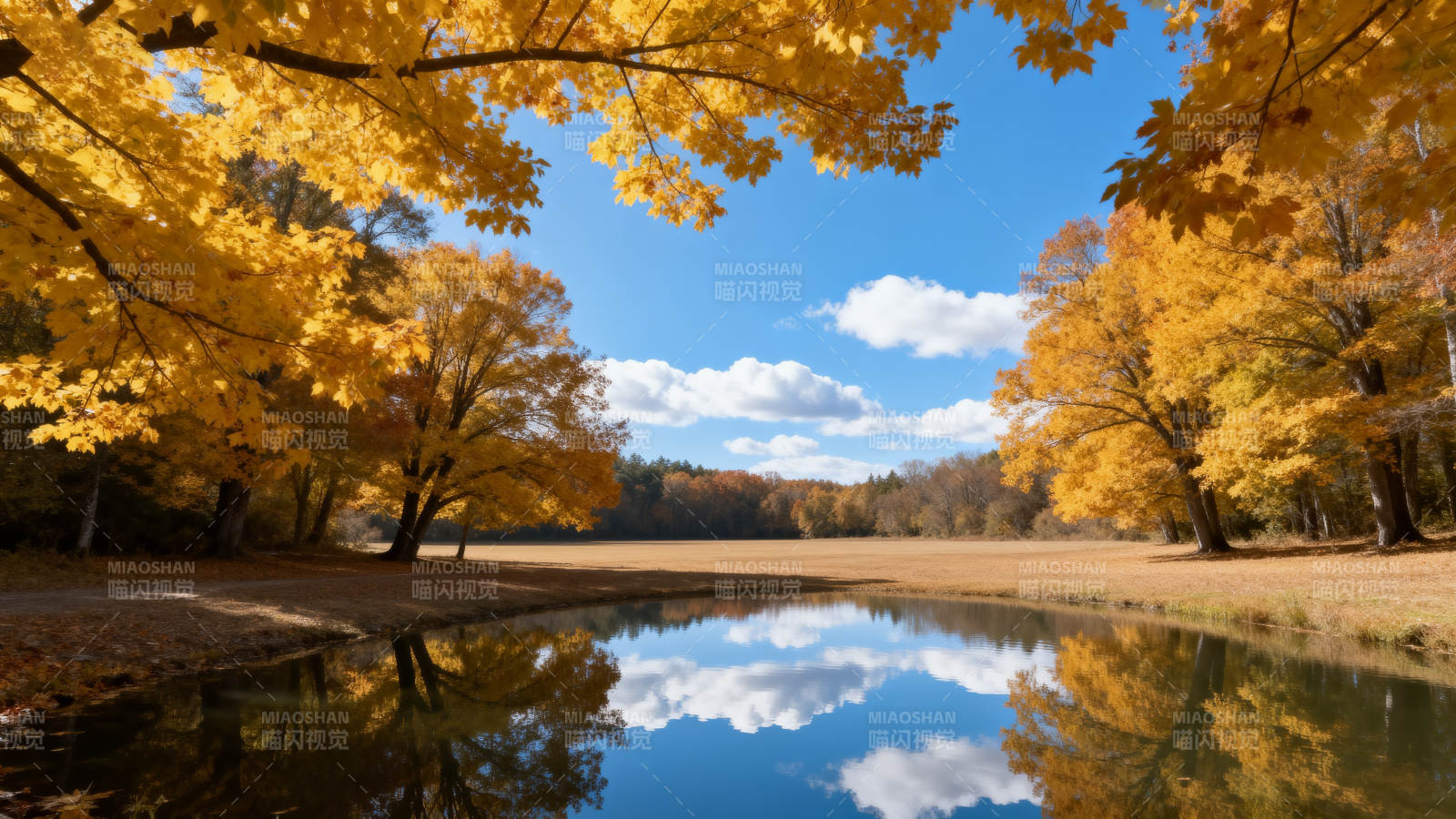 秋日湖畔美景图片