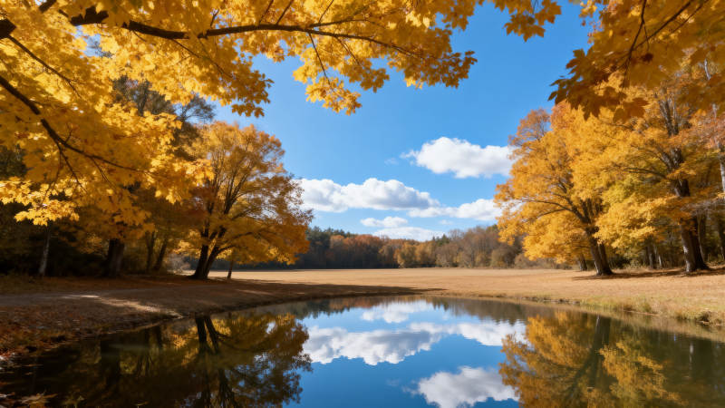 秋日湖畔美景图片