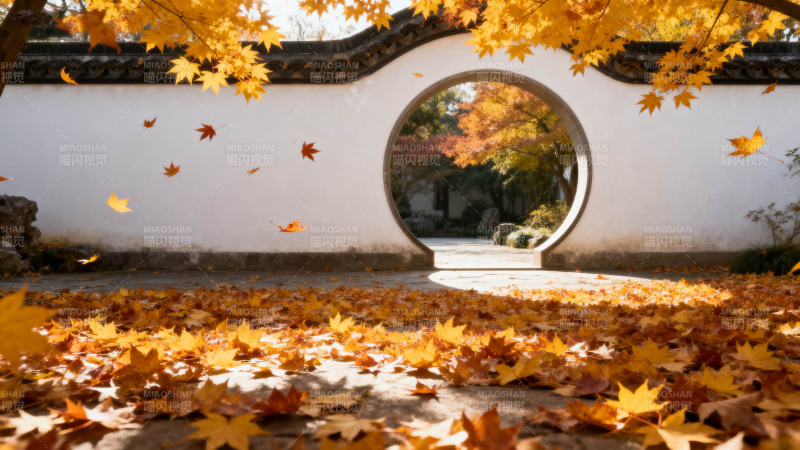 秋叶满园 圆门映景图片