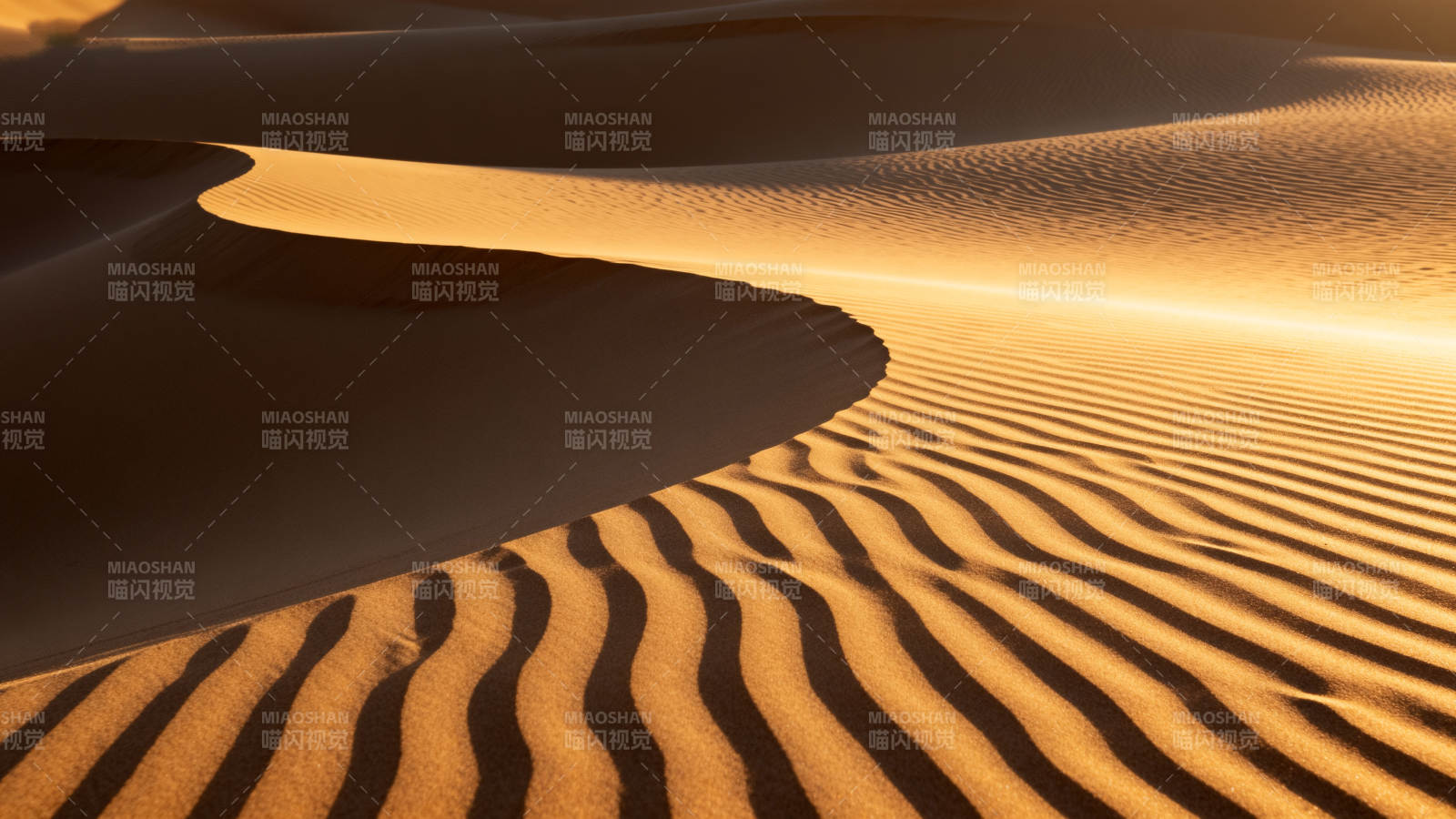 沙漠沙丘光影图片