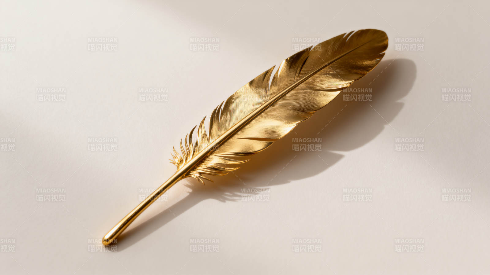 金色羽毛静置图片