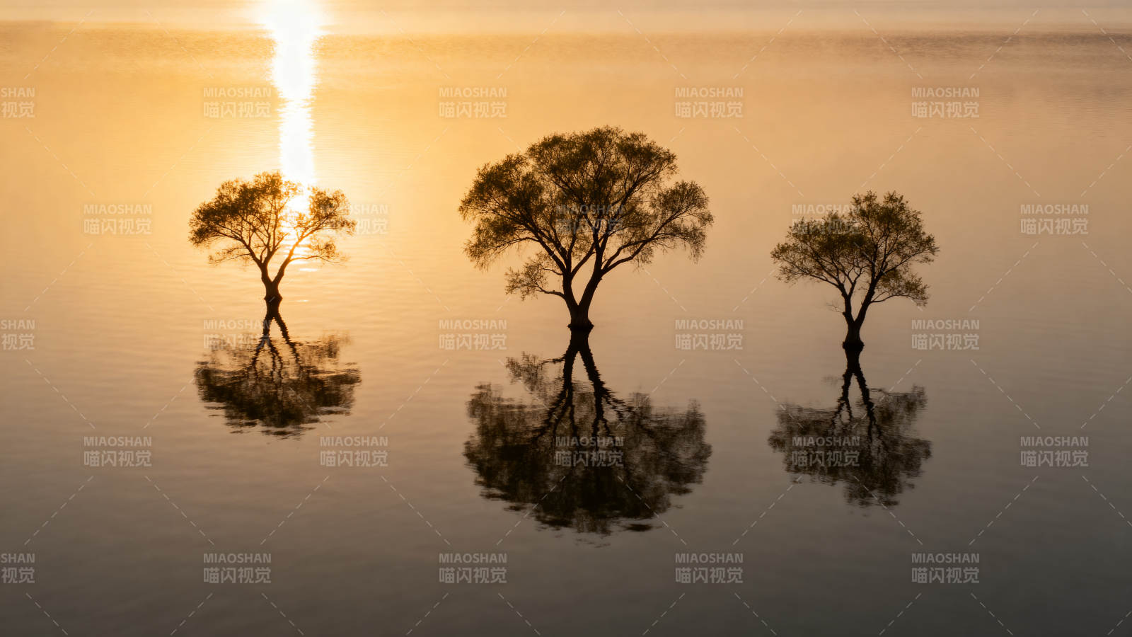 湖畔三树映夕阳图片