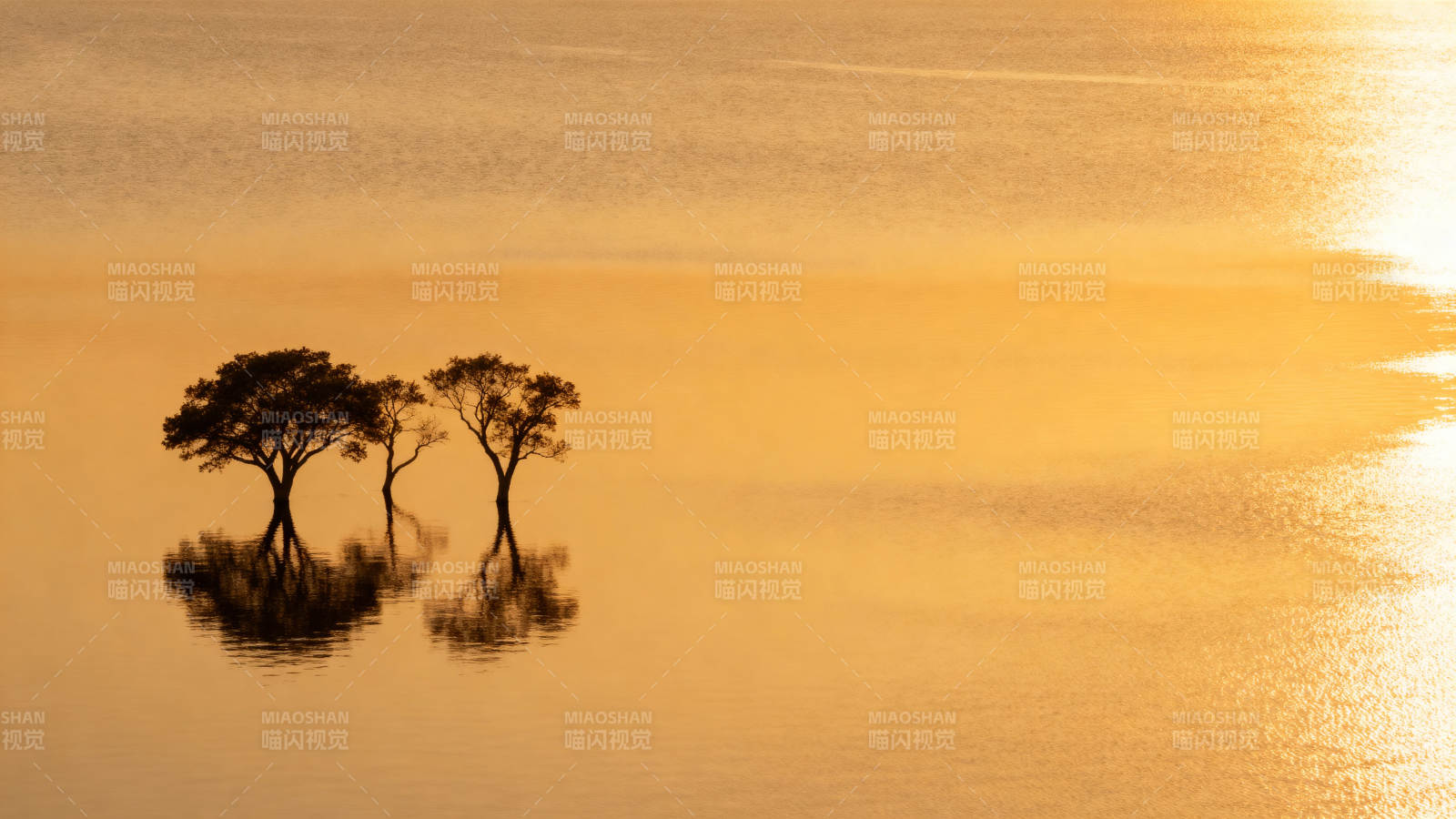 湖畔双树剪影图片