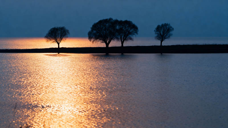 湖畔夕照树影图片