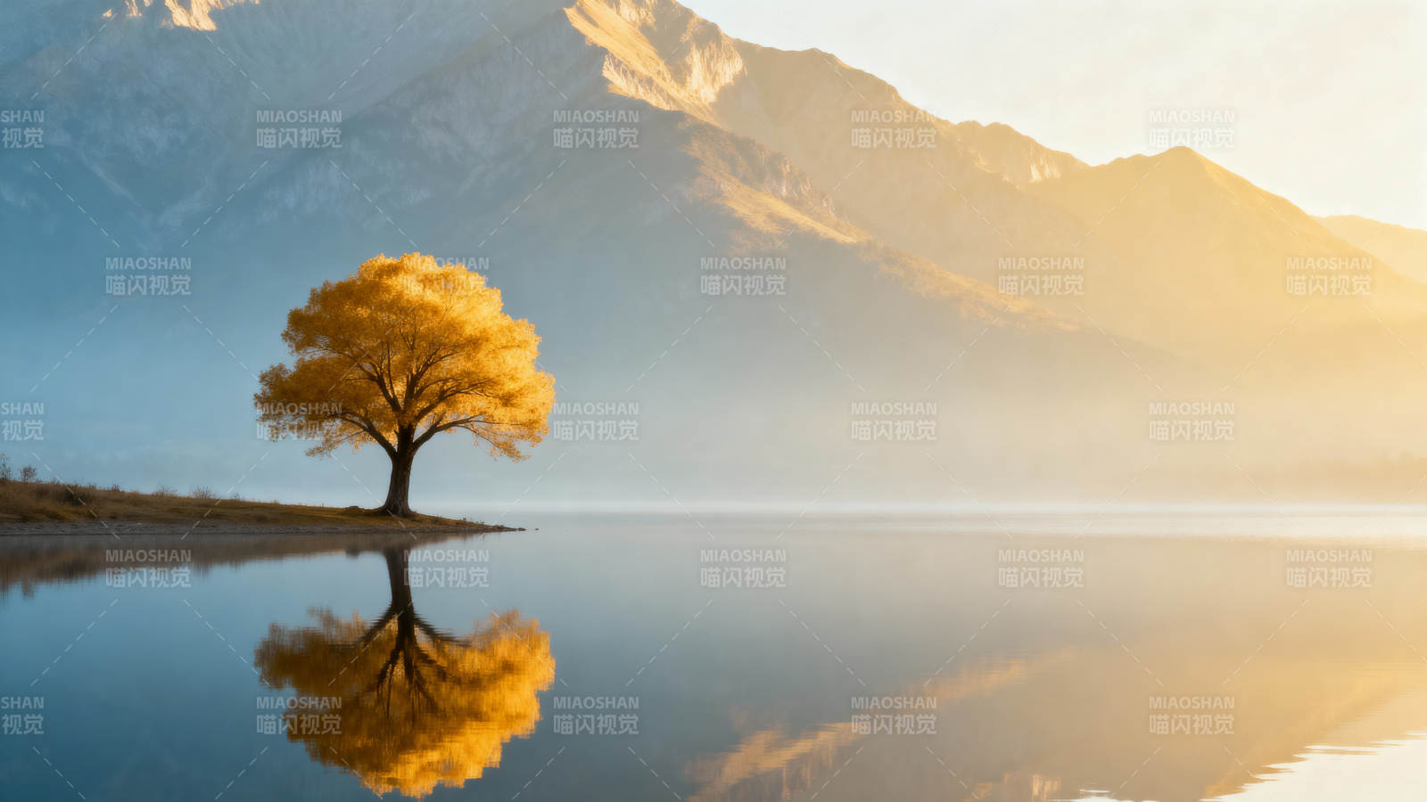 湖畔孤树映山色图片