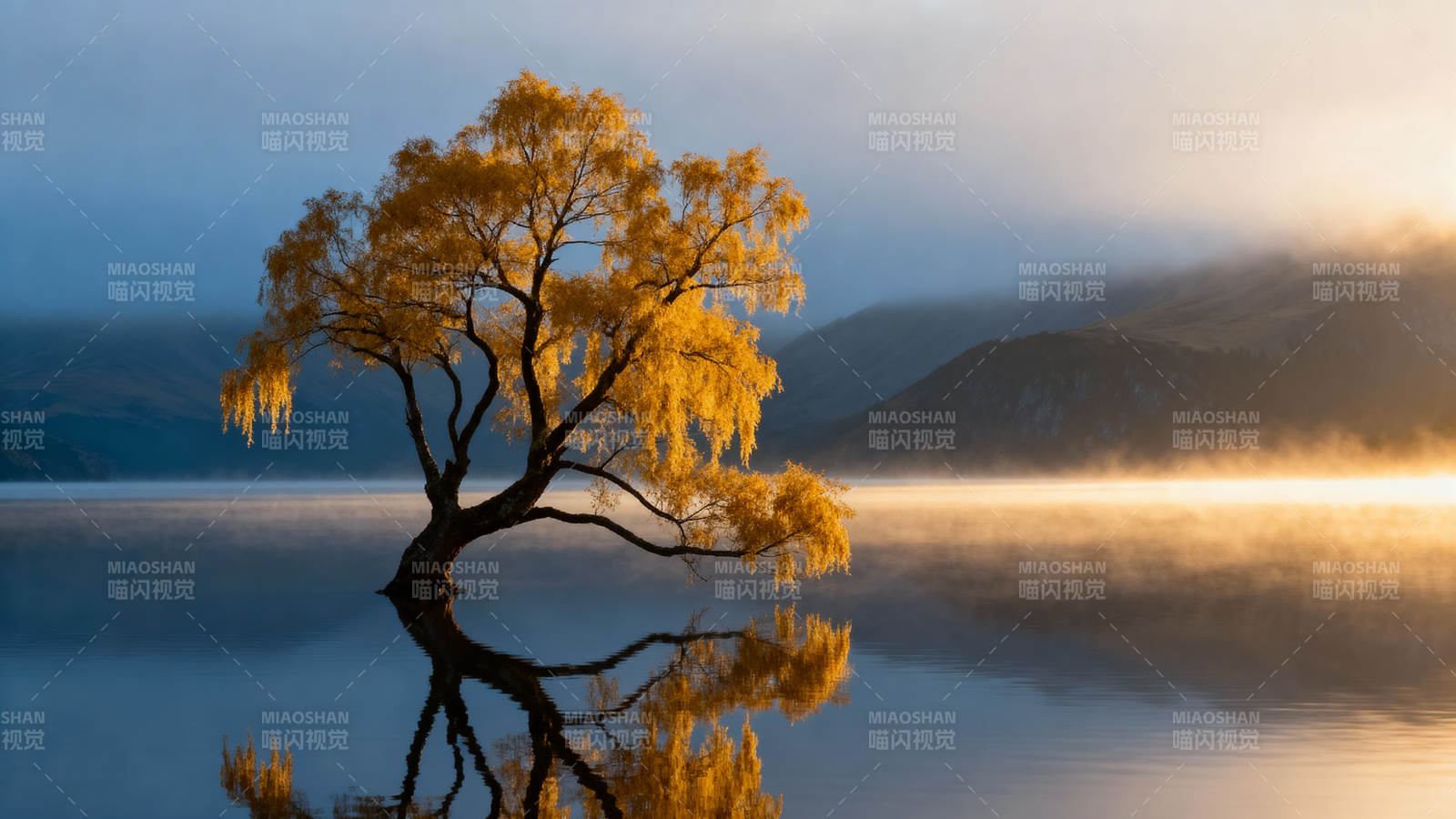 湖畔金树映晨光图片