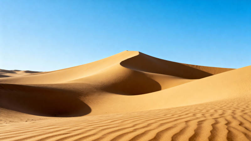 金色沙丘映蓝天图片