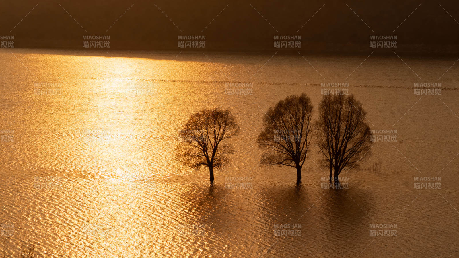 湖光树影夕阳下图片