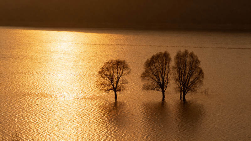 湖光树影夕阳下图片