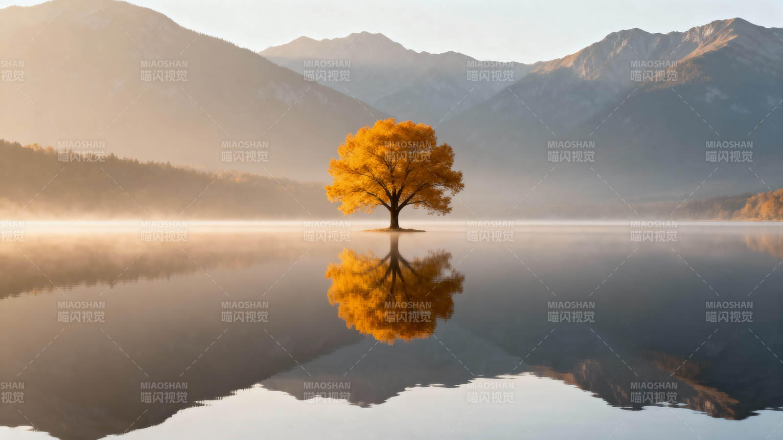 孤树映湖山图片