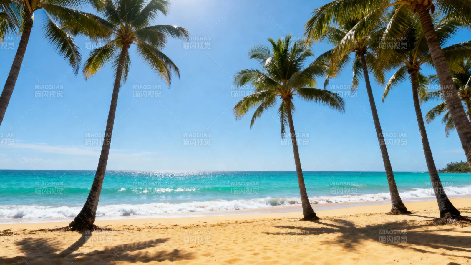 椰林沙滩海景图片
