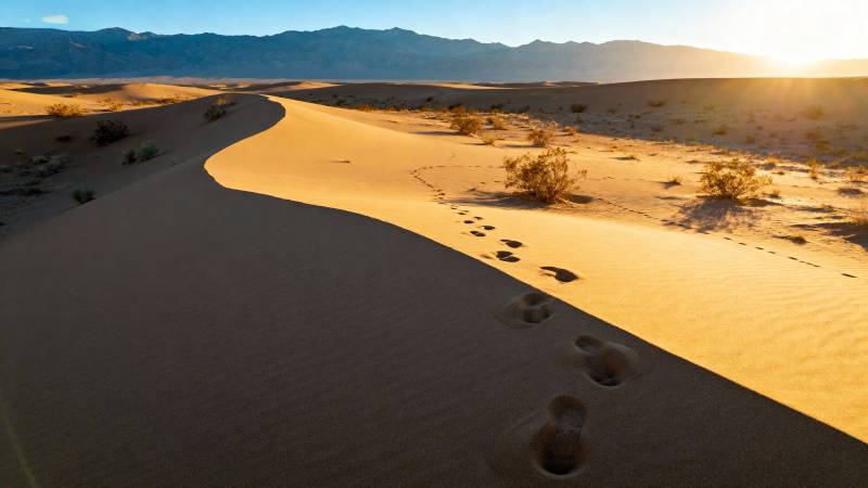 沙漠足迹夕阳图片