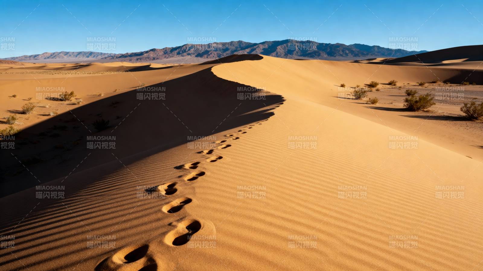 沙漠足迹图片