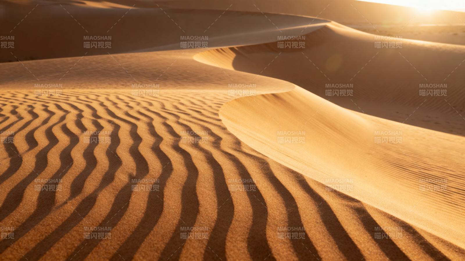 金色沙丘日出图片