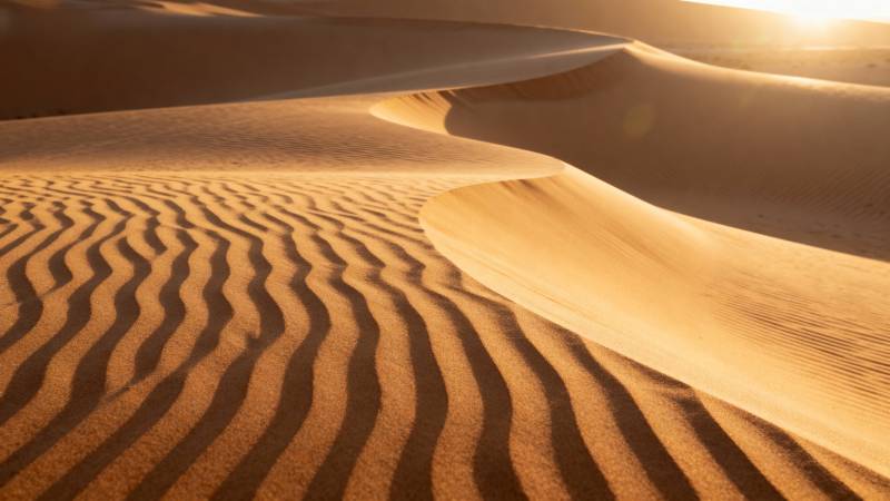 金色沙丘日出图片