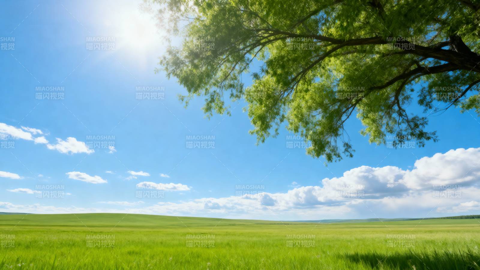 绿野晴空树影图片