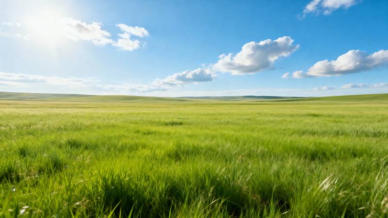 绿野蓝天 心旷神怡图片