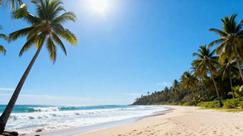 椰林沙滩阳光海图片